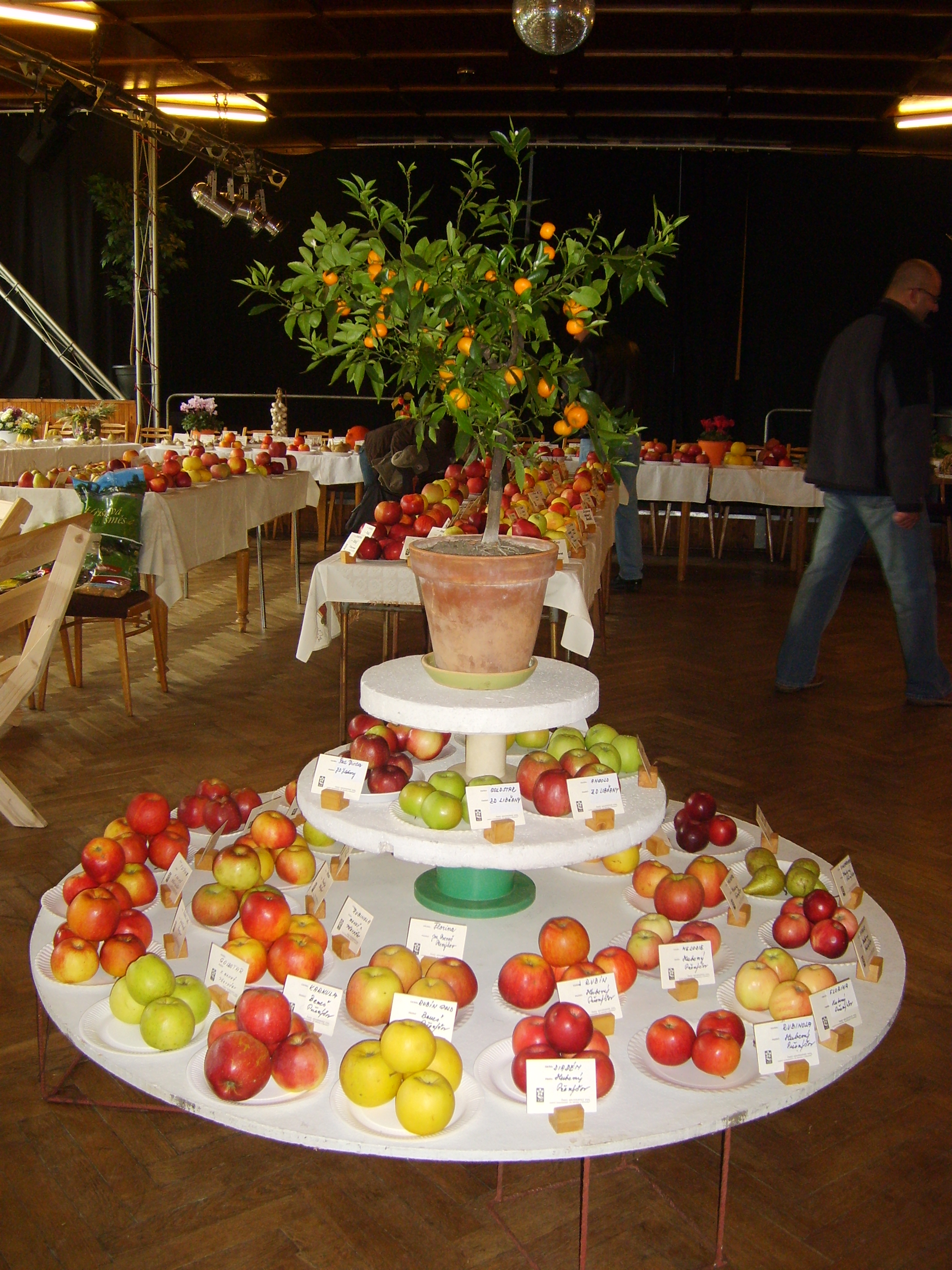 2009_10_25_Výstava ovoce a zeleniny 011.jpg